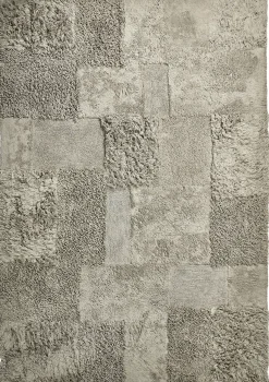 Zottelteppich